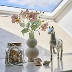 Traberhof - Landurlaub In Seiner Schoensten Form - Freies Reiten Inbegriffen - Hunde Willkommen - Sauna Im Haus - Kanuverleih - Tolle Radwege - Deich In Sichtweite *
