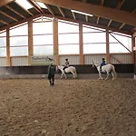 Traberhof - Landurlaub In Seiner Schoensten Form - Freies Reiten Inbegriffen - Hunde Willkommen - Sauna Im Haus - Kanuverleih - Tolle Radwege - Deich In Sichtweite Séjour à la campagne Schillig