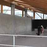 Traberhof - Landurlaub In Seiner Schoensten Form - Freies Reiten Inbegriffen - Hunde Willkommen - Sauna Im Haus - Kanuverleih - Tolle Radwege - Deich In Sichtweite
