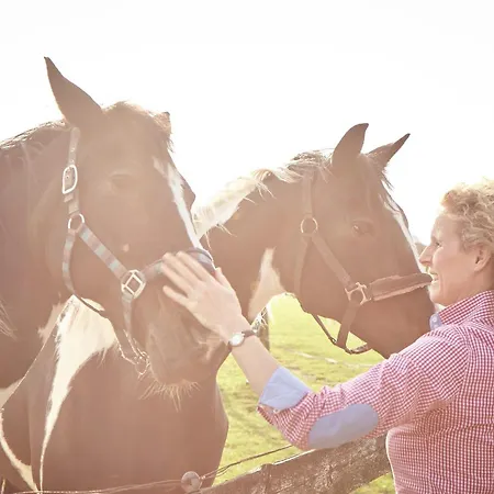 Traberhof - Landurlaub In Seiner Schoensten Form - Freies Reiten Inbegriffen - Hunde Willkommen - Sauna Im Haus - Kanuverleih - Tolle Radwege - Deich In Sichtweite
