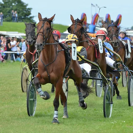 Traberhof - Landurlaub In Seiner Schoensten Form - Freies Reiten Inbegriffen - Hunde Willkommen - Sauna Im Haus - Kanuverleih - Tolle Radwege - Deich In Sichtweite *