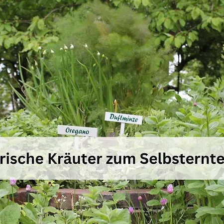 Traberhof - Landurlaub In Seiner Schoensten Form - Freies Reiten Inbegriffen - Hunde Willkommen - Sauna Im Haus - Kanuverleih - Tolle Radwege - Deich In Sichtweite