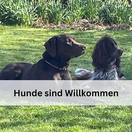 Traberhof - Landurlaub In Seiner Schoensten Form - Freies Reiten Inbegriffen - Hunde Willkommen - Sauna Im Haus - Kanuverleih - Tolle Radwege - Deich In Sichtweite Шиллиг