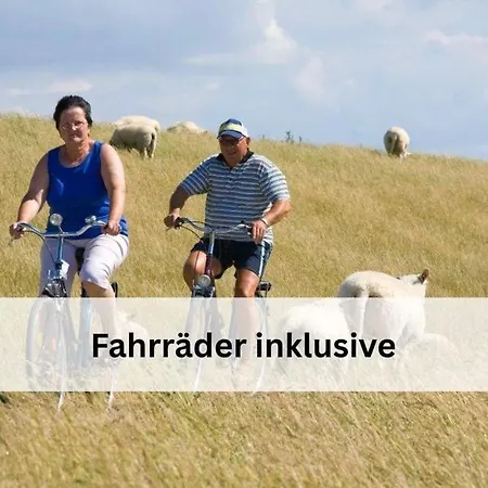 Traberhof - Landurlaub In Seiner Schoensten Form - Freies Reiten Inbegriffen - Hunde Willkommen - Sauna Im Haus - Kanuverleih - Tolle Radwege - Deich In Sichtweite
