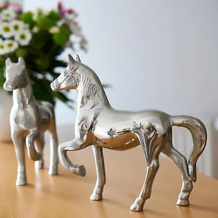 Летний дом Traberhof - Landurlaub In Seiner Schoensten Form - Freies Reiten Inbegriffen - Hunde Willkommen - Sauna Im Haus - Kanuverleih - Tolle Radwege - Deich In Sichtweite