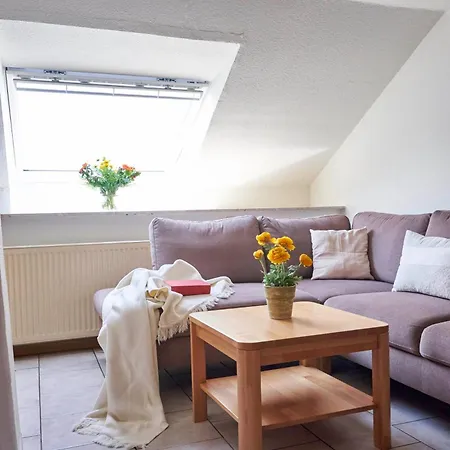 Traberhof - Landurlaub In Seiner Schoensten Form - Freies Reiten Inbegriffen - Hunde Willkommen - Sauna Im Haus - Kanuverleih - Tolle Radwege - Deich In Sichtweite Casa rural Schillig
