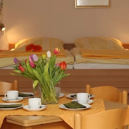 Traberhof - Landurlaub In Seiner Schoensten Form - Freies Reiten Inbegriffen - Hunde Willkommen - Sauna Im Haus - Kanuverleih - Tolle Radwege - Deich In Sichtweite *
