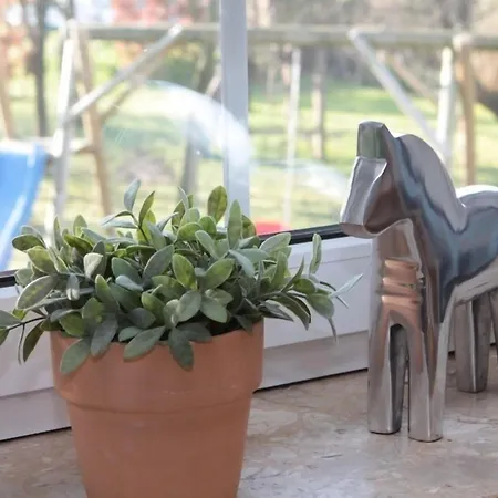 Venkovský dům Traberhof - Landurlaub In Seiner Schoensten Form - Freies Reiten Inbegriffen - Hunde Willkommen - Sauna Im Haus - Kanuverleih - Tolle Radwege - Deich In Sichtweite