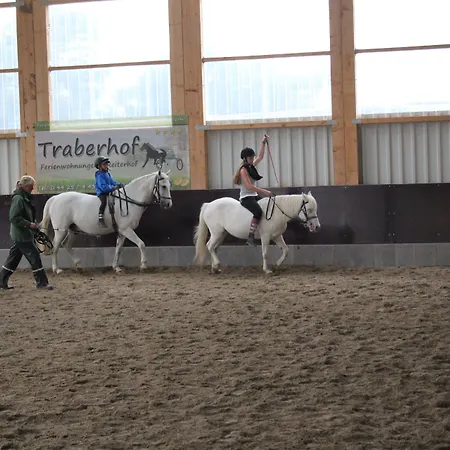 Traberhof - Landurlaub In Seiner Schoensten Form - Freies Reiten Inbegriffen - Hunde Willkommen - Sauna Im Haus - Kanuverleih - Tolle Radwege - Deich In Sichtweite