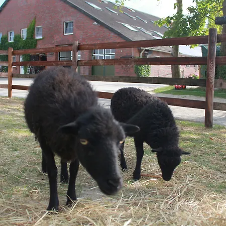 Traberhof - Landurlaub In Seiner Schoensten Form - Freies Reiten Inbegriffen - Hunde Willkommen - Sauna Im Haus - Kanuverleih - Tolle Radwege - Deich In Sichtweite Kır Evi