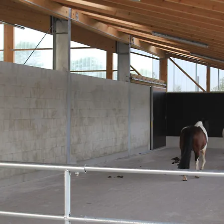 Traberhof - Landurlaub In Seiner Schoensten Form - Freies Reiten Inbegriffen - Hunde Willkommen - Sauna Im Haus - Kanuverleih - Tolle Radwege - Deich In Sichtweite