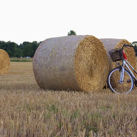 Traberhof - Landurlaub In Seiner Schoensten Form - Freies Reiten Inbegriffen - Hunde Willkommen - Sauna Im Haus - Kanuverleih - Tolle Radwege - Deich In Sichtweite Venkovský dům Schillig