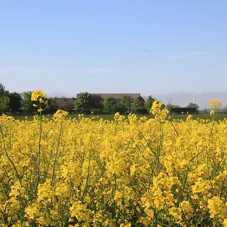 Traberhof - Landurlaub In Seiner Schoensten Form - Freies Reiten Inbegriffen - Hunde Willkommen - Sauna Im Haus - Kanuverleih - Tolle Radwege - Deich In Sichtweite