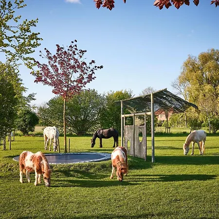 Traberhof - Landurlaub In Seiner Schoensten Form - Freies Reiten Inbegriffen - Hunde Willkommen - Sauna Im Haus - Kanuverleih - Tolle Radwege - Deich In Sichtweite Schillig