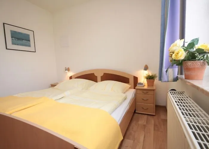 Traberhof - Landurlaub In Seiner Schoensten Form - Freies Reiten Inbegriffen - Hunde Willkommen - Sauna Im Haus - Kanuverleih - Tolle Radwege - Deich In Sichtweite Country house *