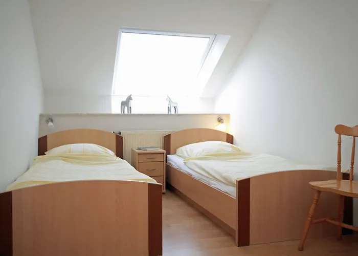 Kır Evi Traberhof - Landurlaub In Seiner Schoensten Form - Freies Reiten Inbegriffen - Hunde Willkommen - Sauna Im Haus - Kanuverleih - Tolle Radwege - Deich In Sichtweite *