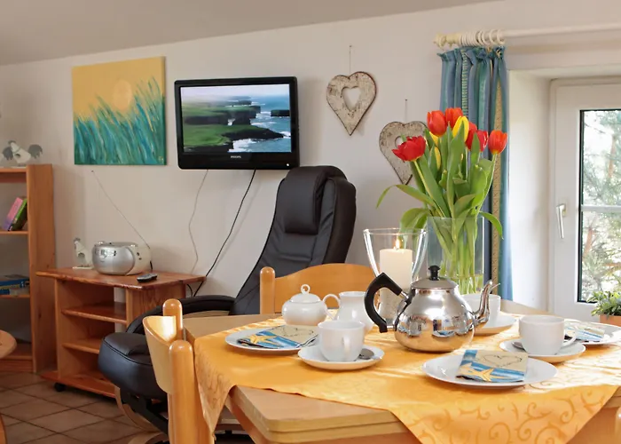 Traberhof - Landurlaub In Seiner Schoensten Form - Freies Reiten Inbegriffen - Hunde Willkommen - Sauna Im Haus - Kanuverleih - Tolle Radwege - Deich In Sichtweite *