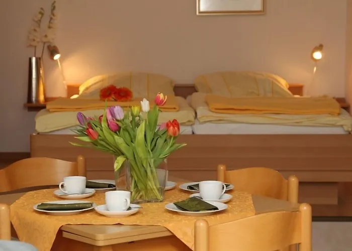 Traberhof - Landurlaub In Seiner Schoensten Form - Freies Reiten Inbegriffen - Hunde Willkommen - Sauna Im Haus - Kanuverleih - Tolle Radwege - Deich In Sichtweite *