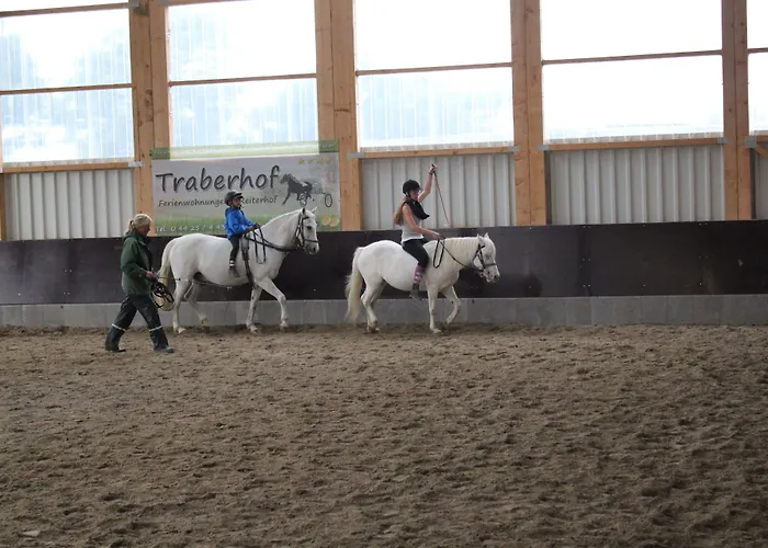 Traberhof - Landurlaub In Seiner Schoensten Form - Freies Reiten Inbegriffen - Hunde Willkommen - Sauna Im Haus - Kanuverleih - Tolle Radwege - Deich In Sichtweite