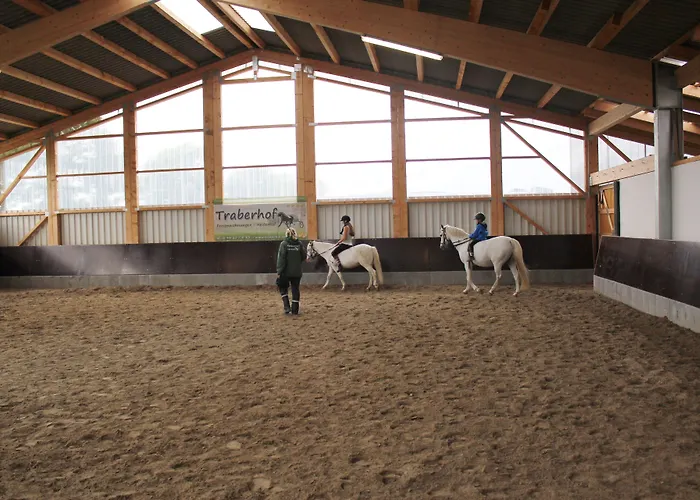 Traberhof - Landurlaub In Seiner Schoensten Form - Freies Reiten Inbegriffen - Hunde Willkommen - Sauna Im Haus - Kanuverleih - Tolle Radwege - Deich In Sichtweite Kır Evi Schillig