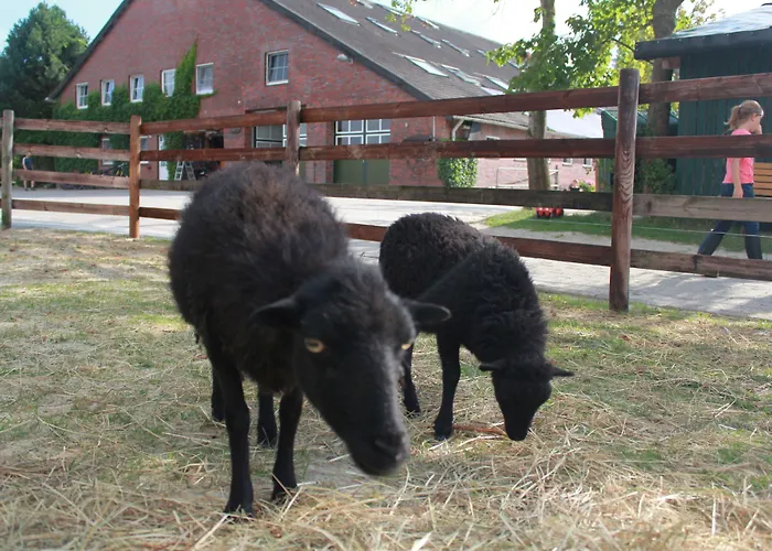 Traberhof - Landurlaub In Seiner Schoensten Form - Freies Reiten Inbegriffen - Hunde Willkommen - Sauna Im Haus - Kanuverleih - Tolle Radwege - Deich In Sichtweite Kır Evi
