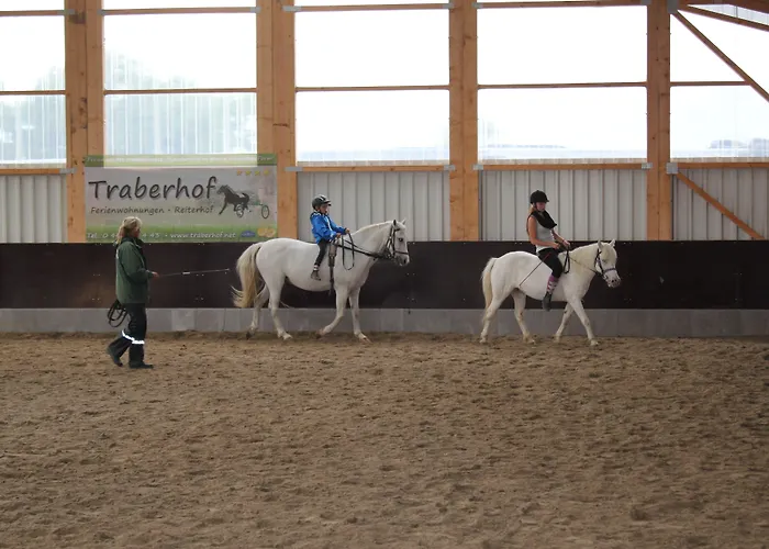 Traberhof - Landurlaub In Seiner Schoensten Form - Freies Reiten Inbegriffen - Hunde Willkommen - Sauna Im Haus - Kanuverleih - Tolle Radwege - Deich In Sichtweite Schillig