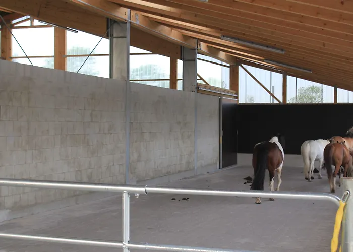 Traberhof - Landurlaub In Seiner Schoensten Form - Freies Reiten Inbegriffen - Hunde Willkommen - Sauna Im Haus - Kanuverleih - Tolle Radwege - Deich In Sichtweite