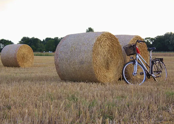 Traberhof - Landurlaub In Seiner Schoensten Form - Freies Reiten Inbegriffen - Hunde Willkommen - Sauna Im Haus - Kanuverleih - Tolle Radwege - Deich In Sichtweite Country house Schillig