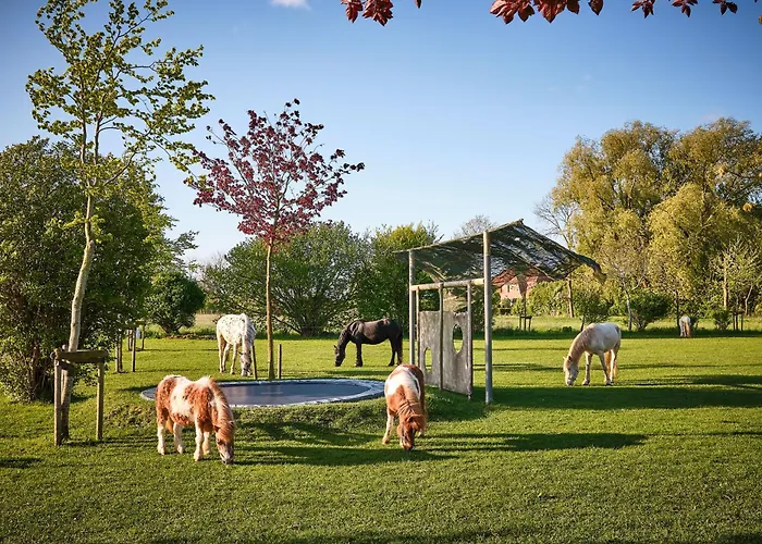 Traberhof - Landurlaub In Seiner Schoensten Form - Freies Reiten Inbegriffen - Hunde Willkommen - Sauna Im Haus - Kanuverleih - Tolle Radwege - Deich In Sichtweite Schillig
